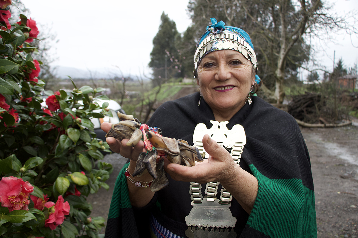 Mujer adulta sonriendo, vestida con atuendo tradicional mapuche y joyería de plata, sosteniendo un conjunto de piezas artesanales en sus manos, en un entorno rural con vegetación y flores.