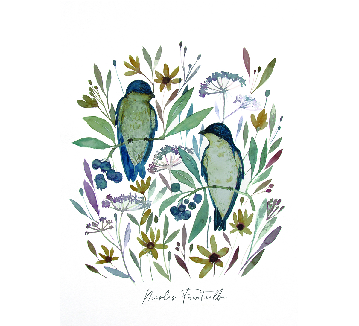 Ilustración botánica en acuarela de dos golondrinas azules, posadas entre ramas con hojas y flores silvestres en tonos suaves, composición simétrica sobre fondo blanco.