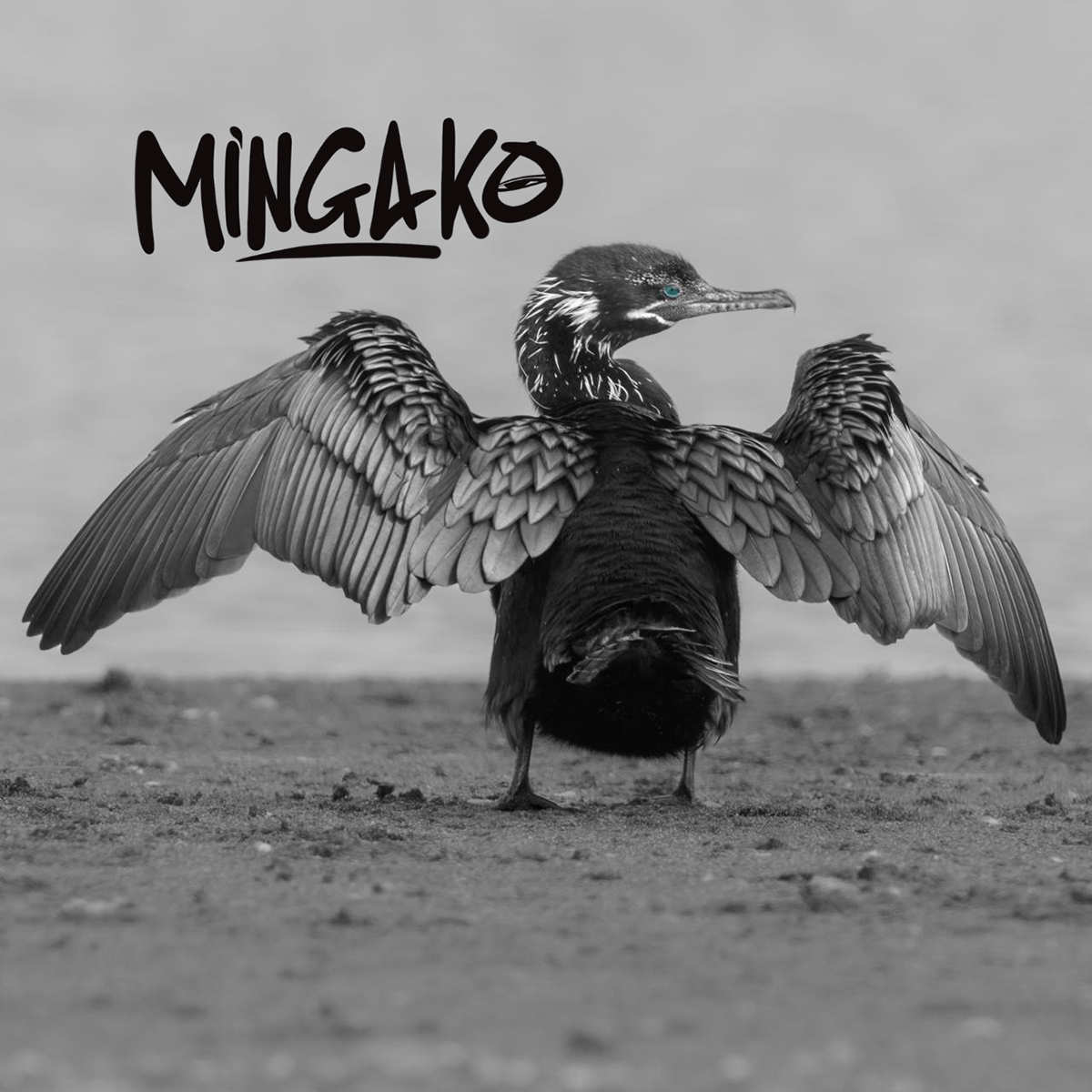PELICANO DE ESPALDA CON ALAS ABIERTAS. ARRIBA A LA IZQUIERDA LA PALABRA "MINGAKO". TODO EN TONOS GRISES