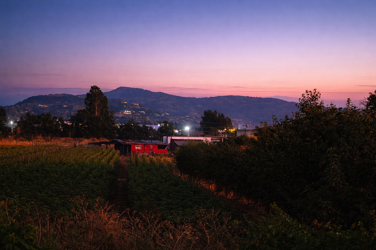 Cultivos y pequeñas construcciones iluminadas al atardecer, con cerros y cielo rosado en el horizonte.